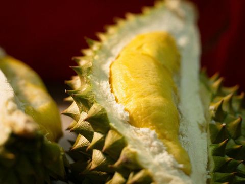 Durian