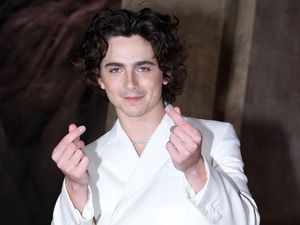 Timothee Chalamet Ungkap Nasehat Konyol Agennya untuk Sukses di Hollywood Timothee Chalamet Ungkap Nasehat Konyol Agennya untuk Sukses di Hollywood