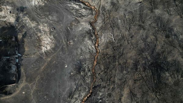 Foto Udara Hutan di Chili Hancur Terbakar