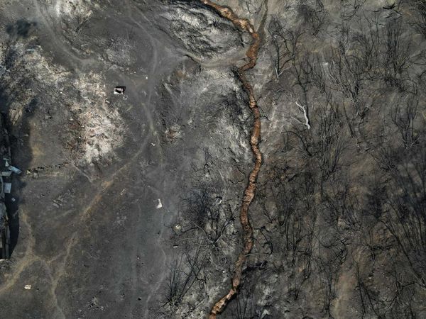 Foto Udara Hutan di Chili Hancur Terbakar