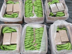 Inggris Bongkar Penyelundupan Kokain Terbesar Tujuan Hamburg