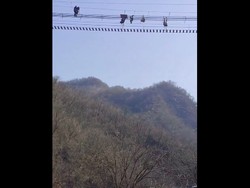 Niat Uji Nyali di Jembatan Gantung, Turis Berakhir Tergantung Terbalik