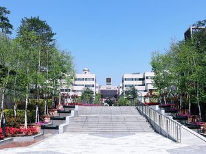 10 Universitas Kecil Terbaik di Dunia 2024 Versi Times Higher Education 10 Universitas Kecil Terbaik di Dunia 2024 Versi Times Higher Education