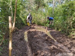 Kondisi Terkini Tahura Djuanda yang Rusak Parah Diterabas Motor Trail