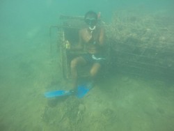 Pesona Wisata Taman Laut di Pantai Pangandaran