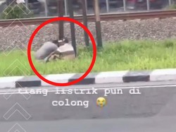 Viral 2 Orang Disebut Hendak Curi Tiang Listrik di Frontage A Yani Surabaya