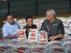 Bos Bulog Tinjau Panen di Blora, 100 Ton Beras Siap Disebar ke Pasar-Ritel Modern