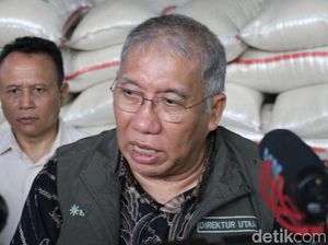 Dirut Bulog Ungkap Penyebab Harga Beras Naik di Pasaran