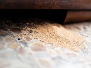 Catat! Begini Cara Basmi Kumbang Bubuk Kayu yang Suka Gerogoti Furniture Catat! Begini Cara Basmi Kumbang Bubuk Kayu yang Suka Gerogoti Furniture