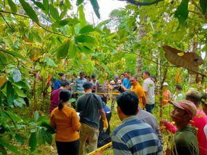 Kelian Adat Ditemukan Tewas di Kebun, Ada Racun Serangga dan Surat Wasiat