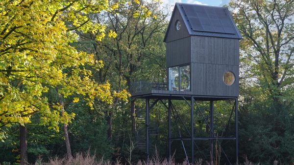 Potret Penginapan yang Bentuknya Mirip Rumah Burung