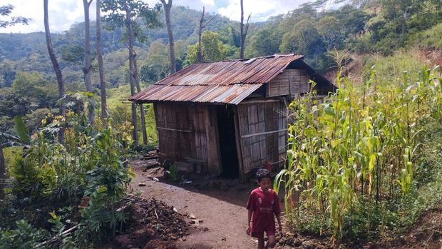 Gubuk kayu Mama Maria di NTT