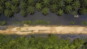Jalan Lintas Jambi-Suak Kandis Terputus Gegara Banjir