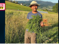Kisah Sukses Mantan Insinyur Alih Profesi Jadi Petani Sayur di Swiss
