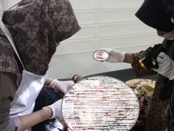 Petani Jagung di OKU Selatan Nyaris Tewas Digorok oleh OTK Saat Bekerja