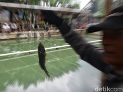 Kalender Jawa Selasa Pahing 26 November 2024: Memancing Ikan di Sungai
