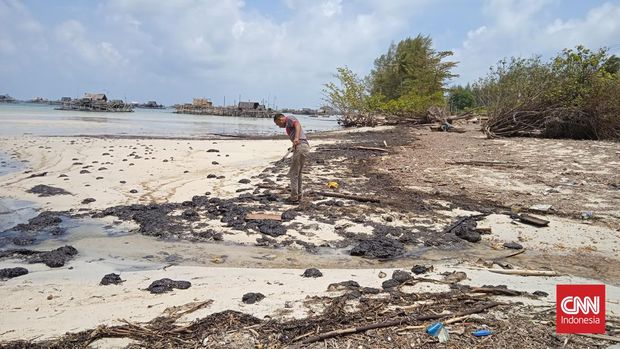 Nelayan atas nama Muswanto memegang minyak hitam dengan menggunakan kayu di pesisir pantai Desa Malang Rapat Kec. Gunung Kijang Kab. Bintan