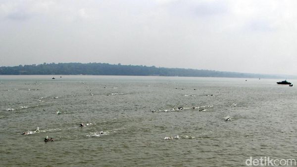 Serunya Lomba Renang Selat Madura di Surabaya