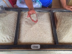 10 Daerah Pemasok Beras yang Jadi Andalan Tahun Ini