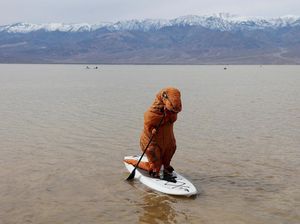 Aksi Dinosaurus Mendayung Kano di Titik Terendah Amerika Utara