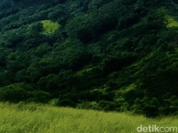 Butuh Pemandangan Hijau-Hijau tapi Nggak Mau Capek? Yuk ke Gunung Pangradina