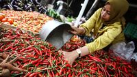 Harga Cabai di Palangka Raya Melambung, Tembus Rp 90 Ribu/Kg
