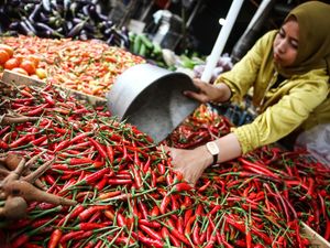 Harga Sembako Jatim Hari Ini, Bawang Merah Turun, Cabai Keriting Naik Harga Sembako Jatim Hari Ini, Bawang Merah Turun, Cabai Keriting Naik