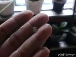 Klotak-klotak! Beberapa Kawasan Sidoarjo Terjadi Hujan Es