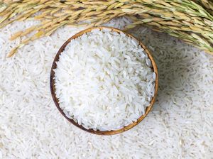 Ada Temuan Beras Kutu, Bos Bapanas Jamin yang Beredar di Masyarakat Bagus Ada Temuan Beras Kutu, Bos Bapanas Jamin yang Beredar di Masyarakat Bagus