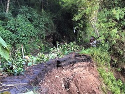 Akses Jalan Rajekwesi Kalipare Malang Longsor gegara Tergerus Hujan