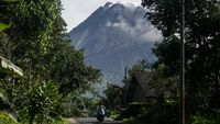 Penampakan Kubah Lava Gunung Merapi Berubah Imbas Guguran Awan Panas