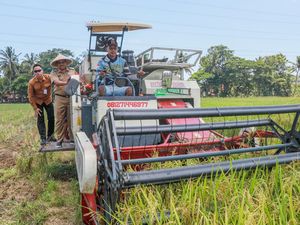 Jateng Mulai Panen Raya, Pj Gubernur Harap Dapat Stabilkan Harga Beras