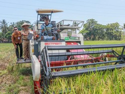 Jateng Mulai Panen Raya, Pj Gubernur Harap Dapat Stabilkan Harga Beras