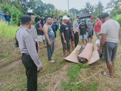 Pria Tewas di Pinggir Jalan Tabanan Seusai Cari Janur untuk Galungan