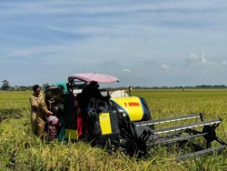 Panen Raya 9.116 Hektare Padi di Kudus, Pj Bupati: Untuk Ketahanan Pangan