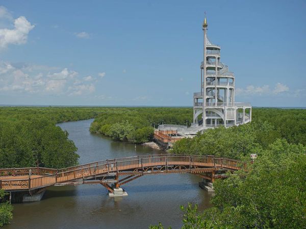 Pesona Tower Mangrove yang Jadi Landmark Baru Kota Langsa