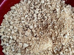 Resep Sasagun, Cemilan Renyah Khas Batak Toba