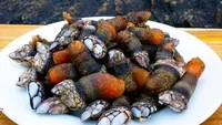 10 Seafood Termahal di Dunia yang Tercatat Sejarah, Segini Harganya
