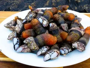 10 Seafood Termahal di Dunia yang Tercatat Sejarah, Segini Harganya