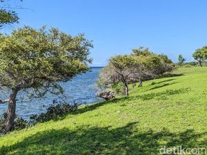 NTT Jadi Titik Awal RI Implementasikan Hasil Diskusi di World Water Forum