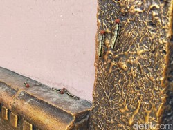 Usai Banjir, Rumah Warga di Bandar Lampung Diserang Ratusan Ulat