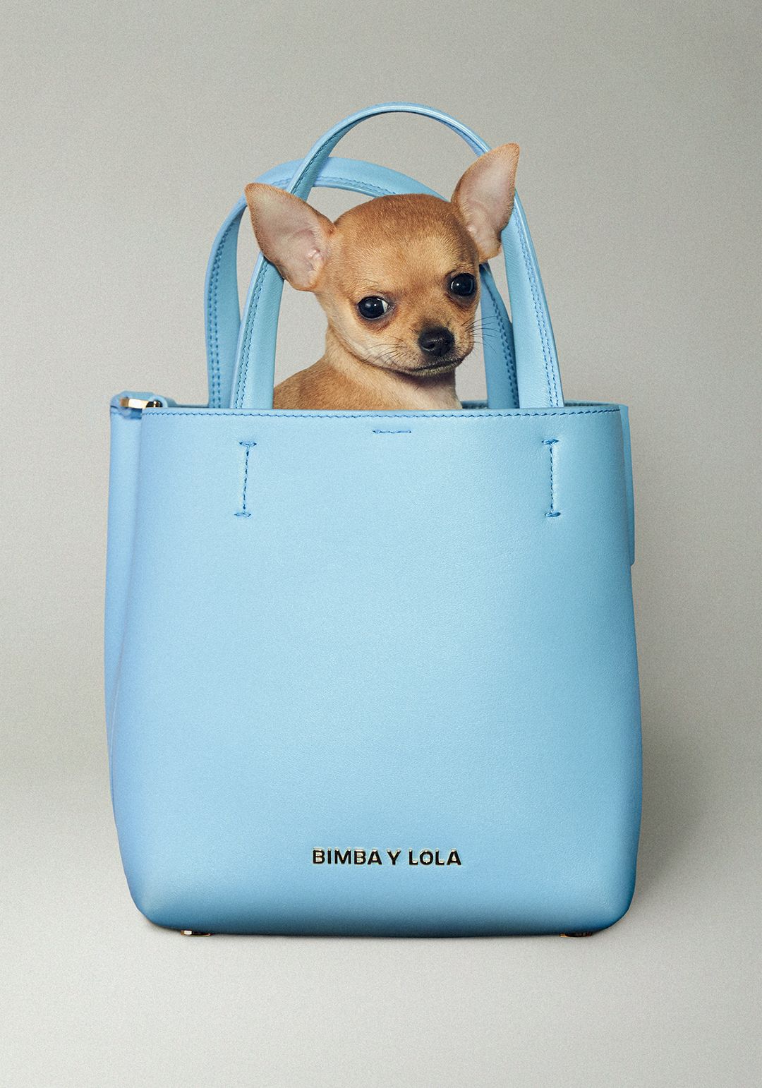Bimba Y Lola Chihuahua bag