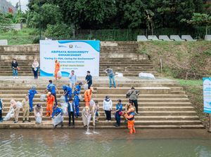 Jaga Kelestarian, Brantas Abipraya Tebar Benih Ikan di Waduk Brigif