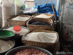 Harga Beras Tembus Rp 16 Ribu Per Kg, Disdag Palopo: Faktor Cuaca Ekstrem
