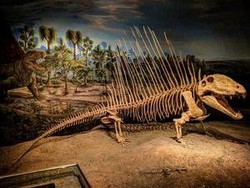 Hewan Ini Jadi Puncak Predator Sebelum Dinosaurus Hadir di Bumi