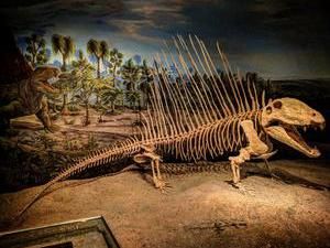 Sang Penguasa Sebelum Dinosaurus Sang Penguasa Sebelum Dinosaurus