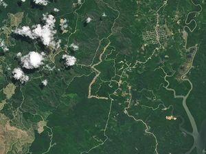 Satelit NASA Rekam Perubahan Dramatis Before After IKN di Kalimantan