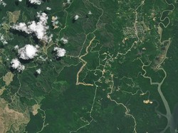 Satelit NASA Rekam Perubahan Dramatis Before After IKN di Kalimantan