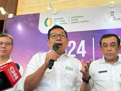 Terkuak! Ini Alasan RI Tambah Lagi Impor Beras 1,6 Juta Ton