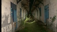 Penampakan Kontrakan 1.000 Pintu yang Viral Disebut Terbengkalai